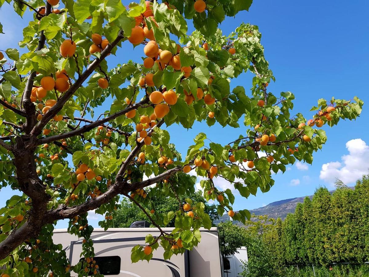 The Orchard At Oliver Hotell Exteriör bild