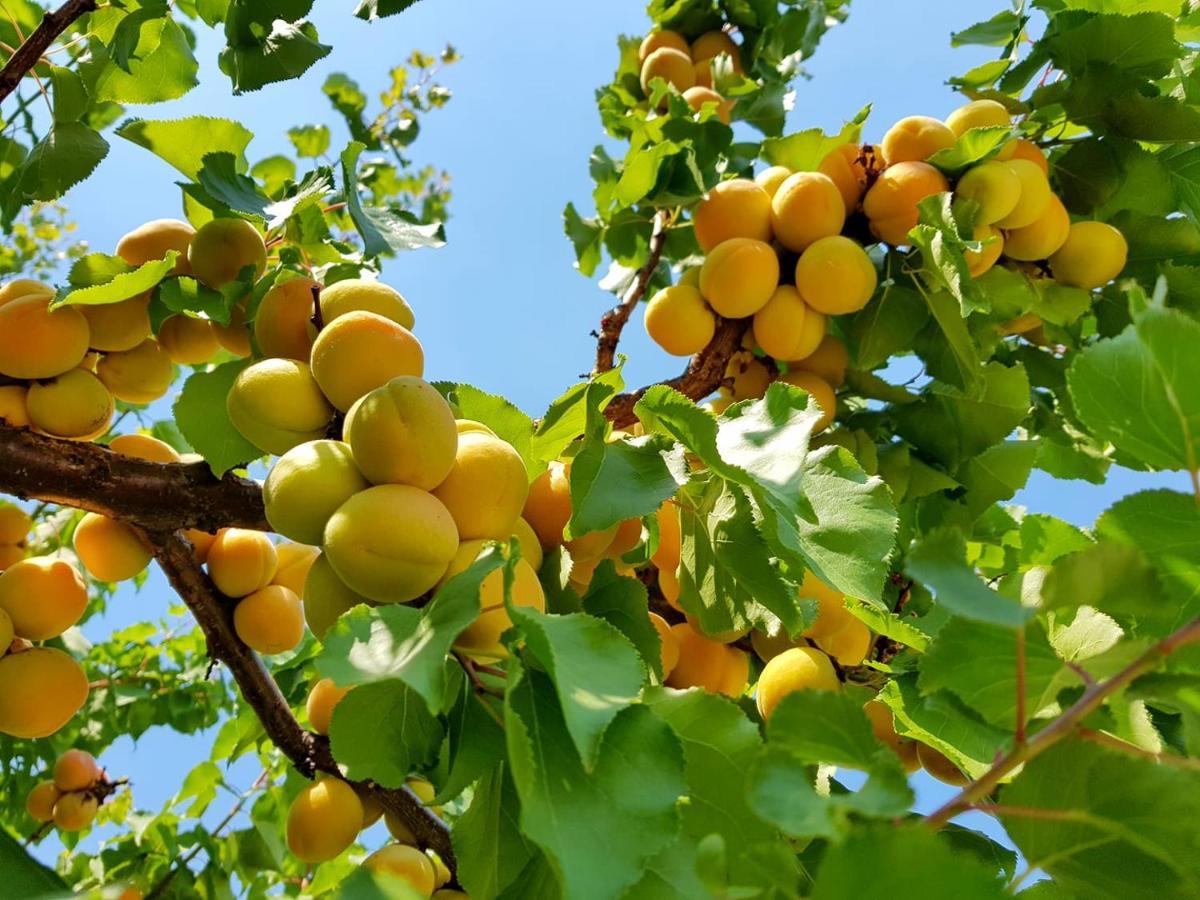 The Orchard At Oliver Hotell Exteriör bild